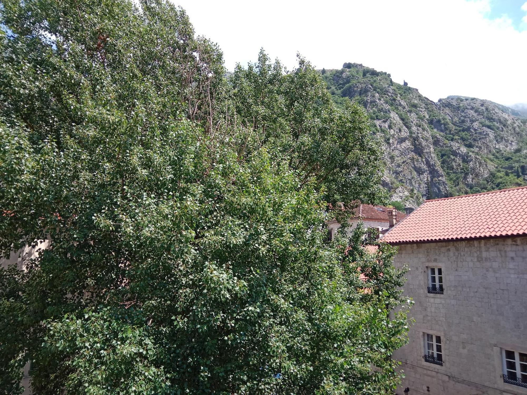 Centar Starog Grada Διαμέρισμα Κότορ Εξωτερικό φωτογραφία