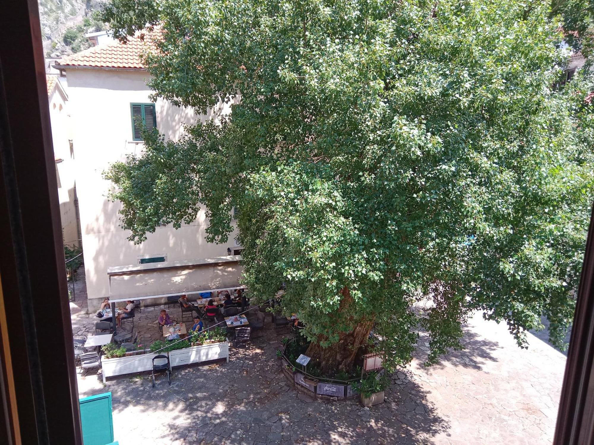 Centar Starog Grada Διαμέρισμα Κότορ Εξωτερικό φωτογραφία